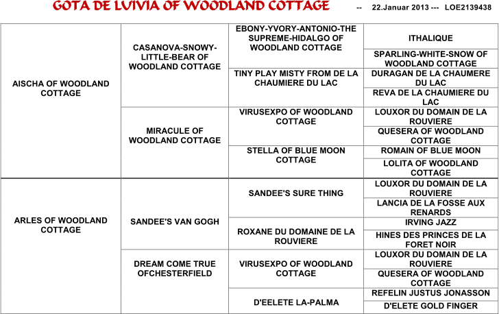 GOTA DE LUIV I A OF WOODLAND COTTAGE   -- 22.Januar 2013 --- LOE2139438       AISCHA OF WOODLAND  COTTAGE       CASANOVA - SNOWY - LITTLE - BEAR OF  WOODLAND COTTAGE   EBONY - YVORY - ANTONIO - THE  SUPREME - HIDALGO OF  WOODLAND COTTAGE     ITHALIQUE   SPARLING - WHITE - SNOW OF  WOODLAND COTTAGE   TINY PLAY MISTY FROM DE LA  CHAUM I ERE DU LAC   DURAGAN DE LA CHAUMERE  DU LAC   REVA DE LA CHAUMIERE DU  LAC       MIRACULE OF  WOODLAND COTTAGE   VIRUSEXPO   OF WOODLAND  COTTAGE   L O UXOR DU DOMAIN DE LA  ROUVIERE   QUESERA  OF WOODLAND  COTTAGE   STELLA OF BLUE MOON  COTTAGE   ROMAIN OF BLUE MOON   LOLITA OF WOODLAND  COTTAGE       ARLES OF WOODLAND  COTTAGE           SANDEE'S VAN GOGH       SANDEE'S SURE THING     LOUXOR DU DOMAIN DE LA  ROUVIERE   LANCIA DE LA FOSSE AUX  RENARDS     ROXANE DU   DOMAINE DE LA  ROUVIERE   IRVING JAZZ   HINES DES PRINCES DE LA  FORET NOIR     DREAM COME TRUE  OF C HESTERFIELD     VIRUSEXPO OF WOODLAND  COTTAGE   LOUXOR DU DOMAIN DE LA  ROUVIERE   QUESERA OF WOODLAND  COTTAGE     D'EELETE LA-PALMA   REFELIN JUSTUS JONASSON   D'ELETE GOLD FINGER