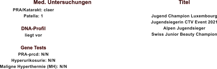 Med. Untersuchungen PRA/Katarakt: claer Patella: 1  DNA-Profil liegt vor  Gene Tests PRA-prcd: N/N Hyperurikosurie: N/N Maligne Hyperthermie (MH): N/N         Titel  Jugend Champion Luxembourg Jugendsiegerin CTV Event 2021 Alpen Jugendsieger Swiss Junior Beauty Champion